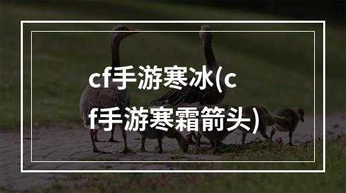 cf手游寒冰(cf手游寒霜箭头)