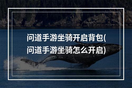 问道手游坐骑开启背包(问道手游坐骑怎么开启)