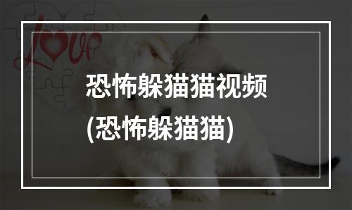 恐怖躲猫猫视频(恐怖躲猫猫)