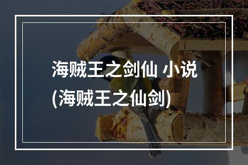 海贼王之剑仙 小说(海贼王之仙剑)