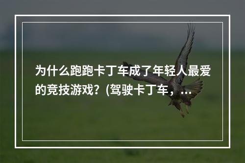 为什么跑跑卡丁车成了年轻人最爱的竞技游戏？(驾驶卡丁车，体验狂欢乐趣)(从跑跑卡丁车看游戏文化的嬗变(追求创新，探索未来))