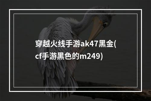 穿越火线手游ak47黑金(cf手游黑色的m249)