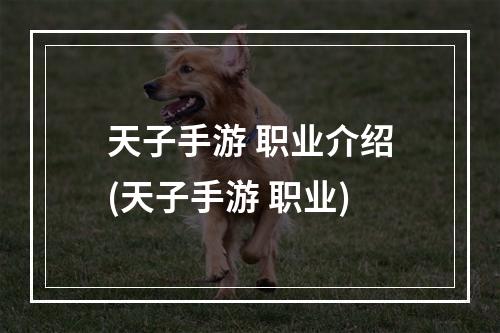 天子手游 职业介绍(天子手游 职业)