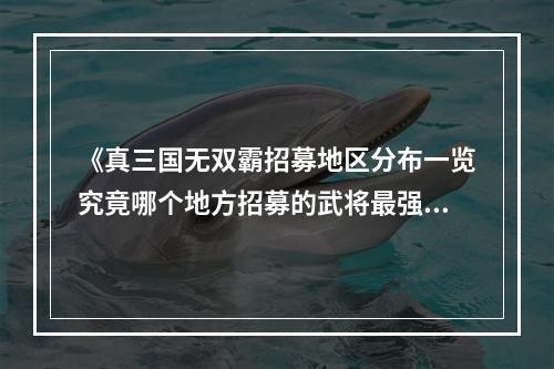 《真三国无双霸招募地区分布一览究竟哪个地方招募的武将最强？》(《霸招募，不同地区不同文化背景下的招募方式》)