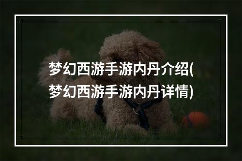 梦幻西游手游内丹介绍(梦幻西游手游内丹详情)