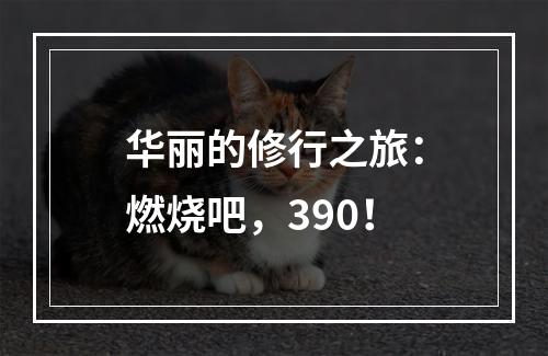 华丽的修行之旅：燃烧吧，390！