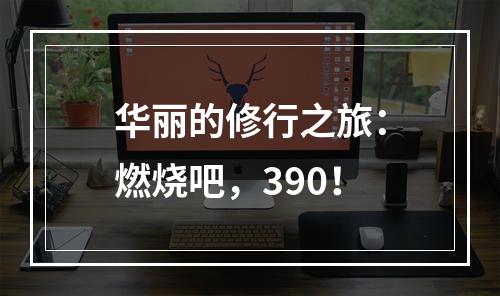 华丽的修行之旅：燃烧吧，390！