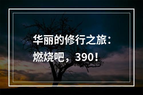 华丽的修行之旅：燃烧吧，390！