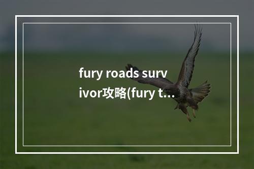 fury roads survivor攻略(fury turn手游攻略)