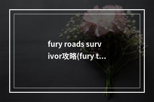 fury roads survivor攻略(fury turn手游攻略)