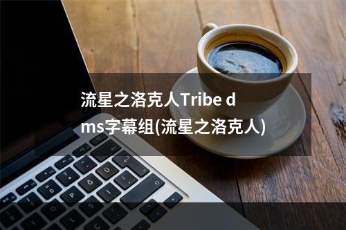 流星之洛克人Tribe dms字幕组(流星之洛克人)