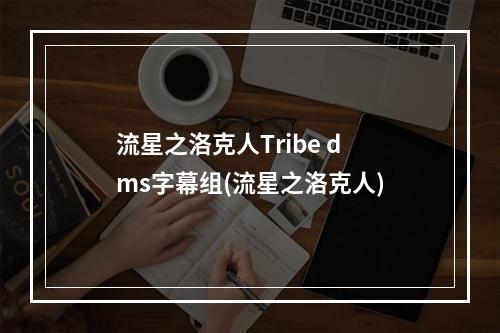 流星之洛克人Tribe dms字幕组(流星之洛克人)