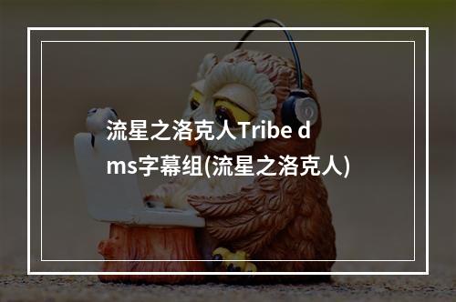 流星之洛克人Tribe dms字幕组(流星之洛克人)