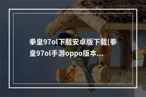 拳皇97ol下载安卓版下载(拳皇97ol手游oppo版本)