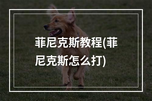 菲尼克斯教程(菲尼克斯怎么打)