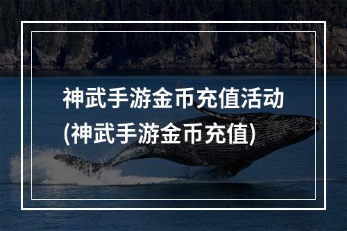 神武手游金币充值活动(神武手游金币充值)