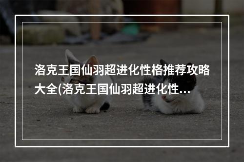 洛克王国仙羽超进化性格推荐攻略大全(洛克王国仙羽超进化性格推荐攻略 )