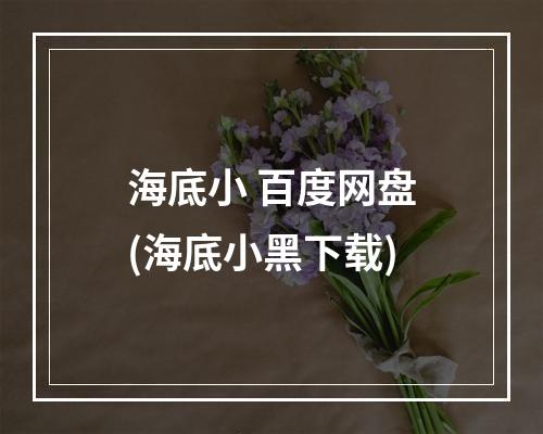 海底小 百度网盘(海底小黑下载)