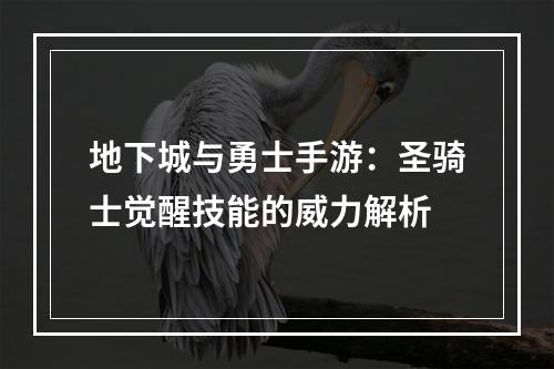 地下城与勇士手游：圣骑士觉醒技能的威力解析