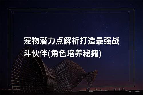 宠物潜力点解析打造最强战斗伙伴(角色培养秘籍)