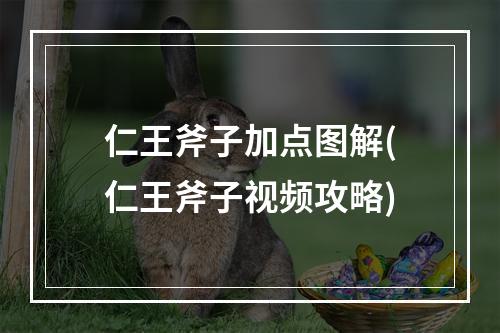 仁王斧子加点图解(仁王斧子视频攻略)