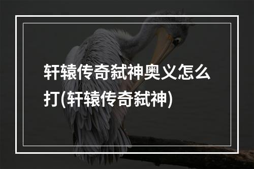 轩辕传奇弑神奥义怎么打(轩辕传奇弑神)