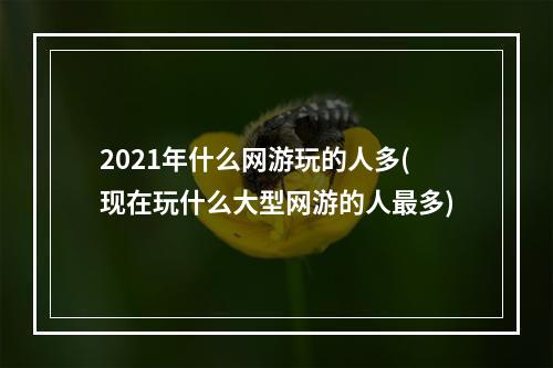 2021年什么网游玩的人多(现在玩什么大型网游的人最多)