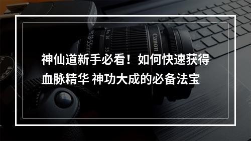 神仙道新手必看！如何快速获得血脉精华 神功大成的必备法宝