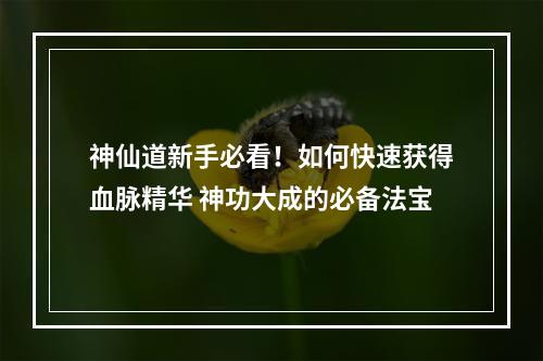 神仙道新手必看！如何快速获得血脉精华 神功大成的必备法宝