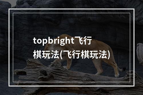 topbright飞行棋玩法(飞行棋玩法)