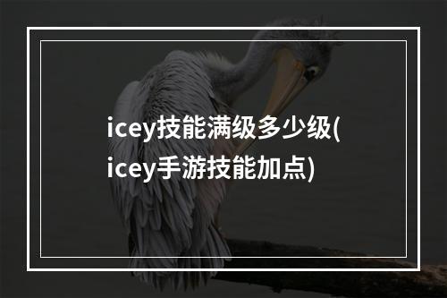 icey技能满级多少级(icey手游技能加点)