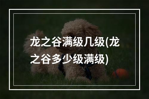 龙之谷满级几级(龙之谷多少级满级)