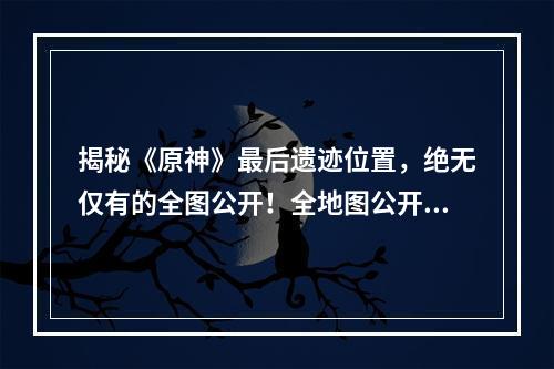 揭秘《原神》最后遗迹位置，绝无仅有的全图公开！全地图公开、揭秘奥秘())