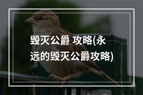 毁灭公爵 攻略(永远的毁灭公爵攻略)