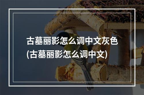 古墓丽影怎么调中文灰色(古墓丽影怎么调中文)