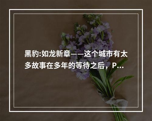 黑豹:如龙新章——这个城市有太多故事在多年的等待之后，PSP版《黑豹:如龙新章》终于与玩家见面了。作为一款充满故事和情感的动作冒险游戏，《黑豹:如龙新章》绝对能