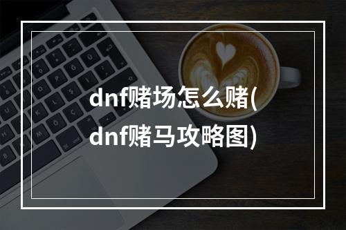 dnf赌场怎么赌(dnf赌马攻略图)