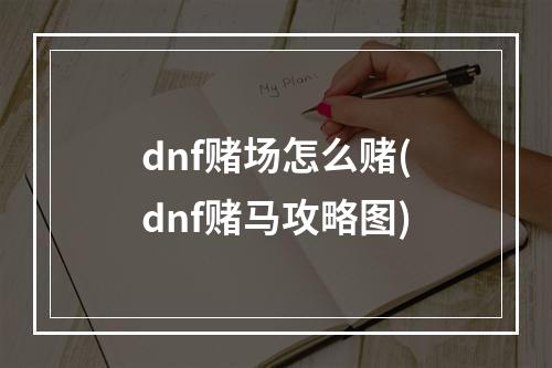 dnf赌场怎么赌(dnf赌马攻略图)