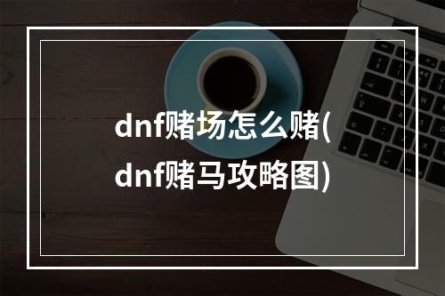 dnf赌场怎么赌(dnf赌马攻略图)