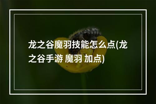 龙之谷魔羽技能怎么点(龙之谷手游 魔羽 加点)