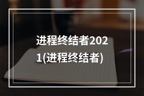 进程终结者2021(进程终结者)