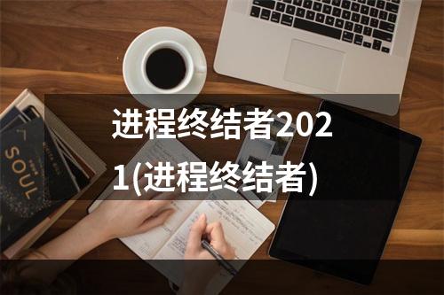 进程终结者2021(进程终结者)