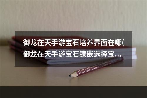 御龙在天手游宝石培养界面在哪(御龙在天手游宝石镶嵌选择宝石怎么镶嵌好)