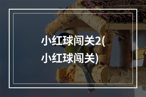 小红球闯关2(小红球闯关)