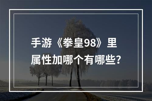 手游《拳皇98》里属性加哪个有哪些？