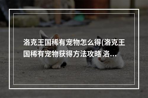 洛克王国稀有宠物怎么得(洛克王国稀有宠物获得方法攻略 洛克王国地点攻略)