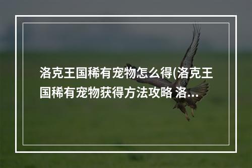 洛克王国稀有宠物怎么得(洛克王国稀有宠物获得方法攻略 洛克王国地点攻略)