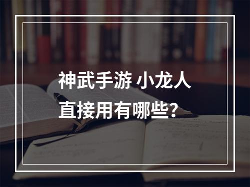 神武手游 小龙人直接用有哪些？