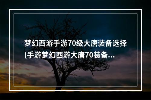 梦幻西游手游70级大唐装备选择(手游梦幻西游大唐70装备)