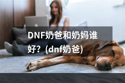 DNF奶爸和奶妈谁好？(dnf奶爸)